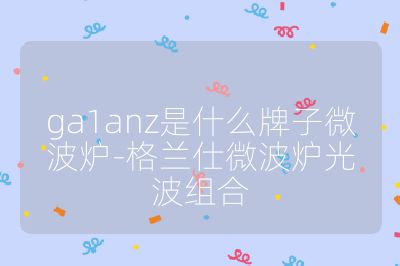 ga1anz是什么牌子微波炉-格兰仕微波炉光波组合