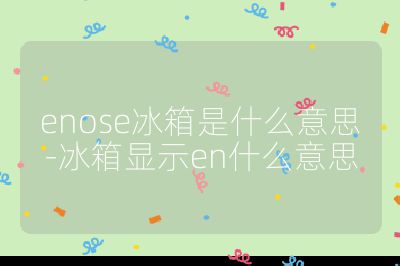 enose冰箱是什么意思-冰箱显示en什么意思