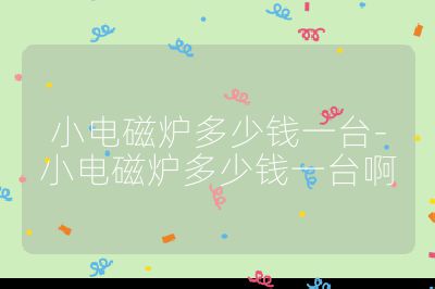 小电磁炉多少钱一台-小电磁炉多少钱一台啊