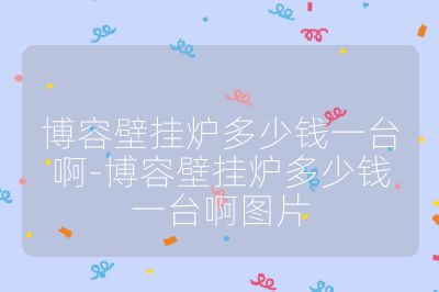 博容壁挂炉多少钱一台啊-博容壁挂炉多少钱一台啊图片