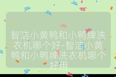 智洁小黄鸭和小鸭牌洗衣机哪个好-智洁小黄鸭和小鸭牌洗衣机哪个好用