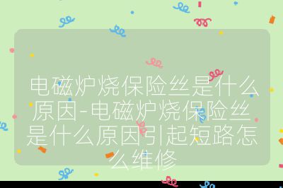 电磁炉烧保险丝是什么原因-电磁炉烧保险丝是什么原因引起短路怎么维修