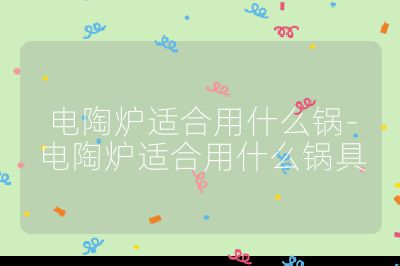 电陶炉适合用什么锅-电陶炉适合用什么锅具