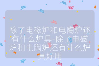 除了电磁炉和电陶炉还有什么炉具-除了电磁炉和电陶炉还有什么炉具好用