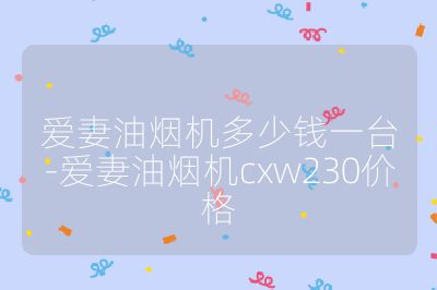 爱妻油烟机多少钱一台-爱妻油烟机cxw230价格