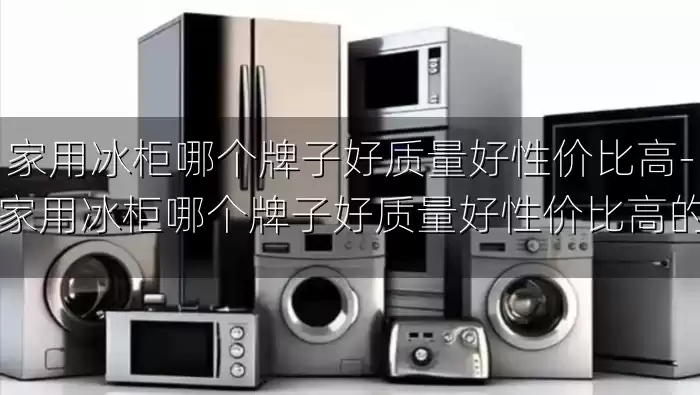 家用冰柜哪个牌子好质量好性价比高-家用冰柜哪个牌子好质量好性价比高的