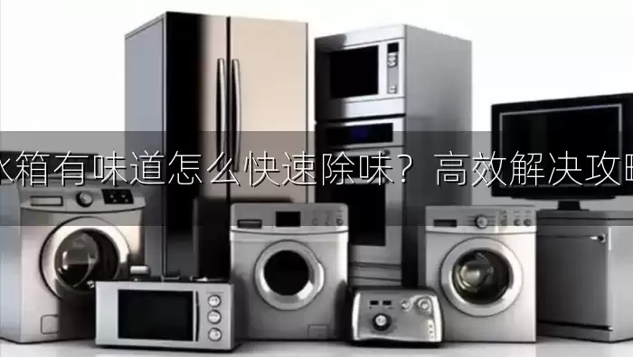 冰箱有味道怎么快速除味？高效解决攻略