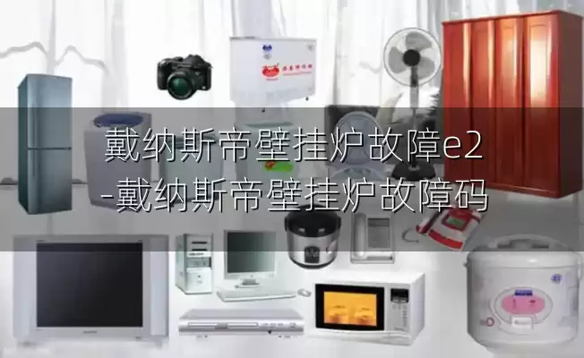 戴纳斯帝壁挂炉故障e2-戴纳斯帝壁挂炉故障码