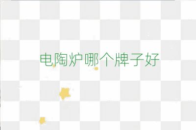 电陶炉哪个牌子好