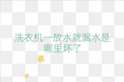 洗衣机一放水就漏水是哪里坏了