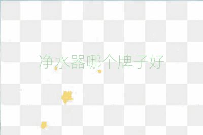 净水器哪个牌子好