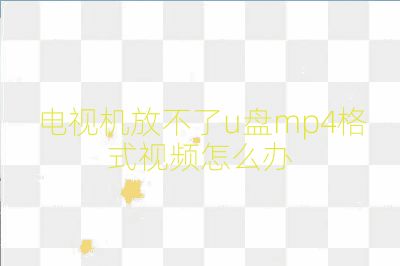 电视机放不了u盘mp4格式视频怎么办