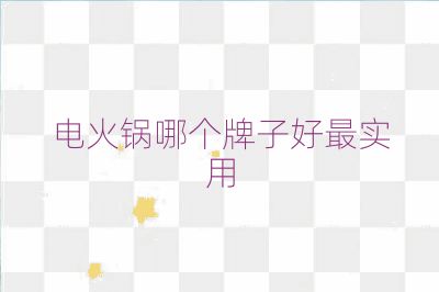 电火锅哪个牌子好最实用