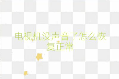 电视机没声音了怎么恢复正常