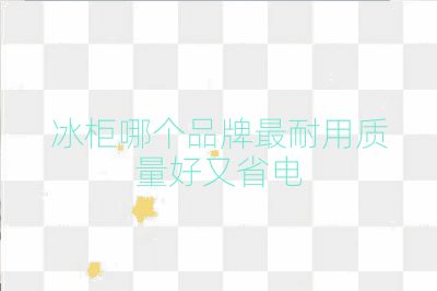 冰柜哪个品牌最耐用质量好又省电
