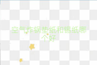 空气炸锅垫纸和锡纸哪个好