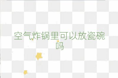 空气炸锅里可以放瓷碗吗