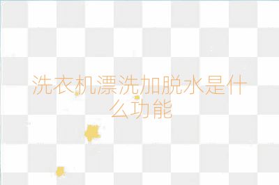 洗衣机漂洗加脱水是什么功能