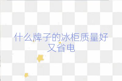 什么牌子的冰柜质量好又省电