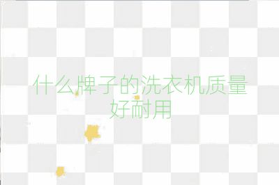 什么牌子的洗衣机质量好耐用