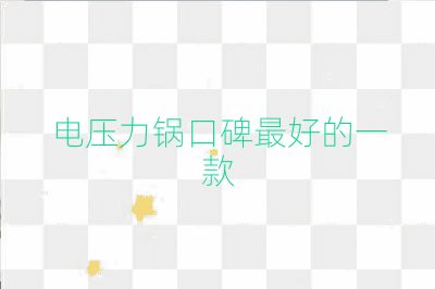 电压力锅口碑最好的一款