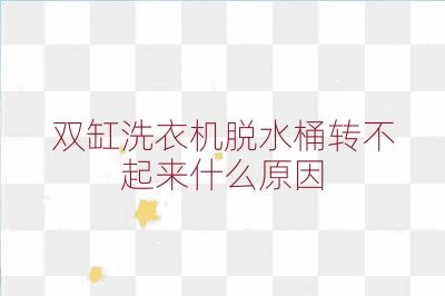 双缸洗衣机脱水桶转不起来什么原因
