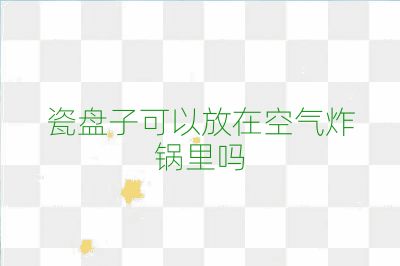 瓷盘子可以放在空气炸锅里吗