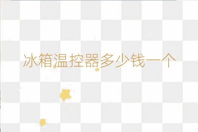 冰箱温控器多少钱一个
