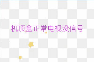 机顶盒正常电视没信号