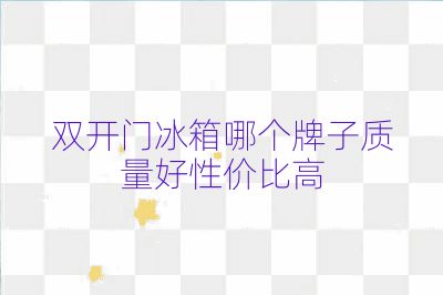 双开门冰箱哪个牌子质量好性价比高