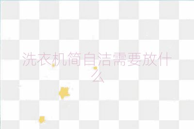 洗衣机简自洁需要放什么