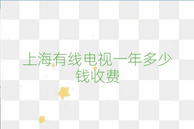 上海有线电视一年多少钱收费