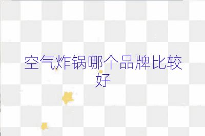 空气炸锅哪个品牌比较好