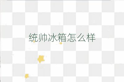 统帅冰箱怎么样