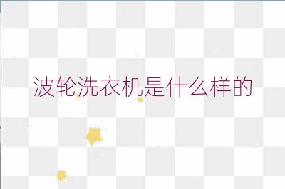 波轮洗衣机是什么样的