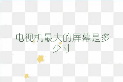 电视机最大的屏幕是多少寸