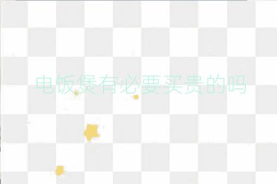 电饭煲有必要买贵的吗