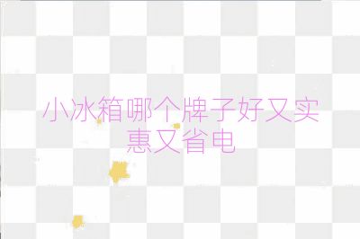 小冰箱哪个牌子好又实惠又省电