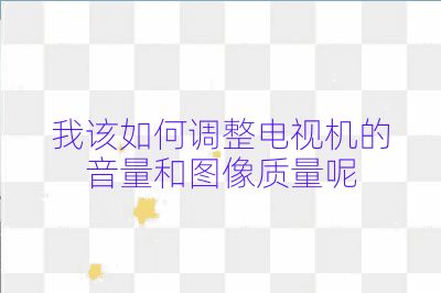 我该如何调整电视机的音量和图像质量呢