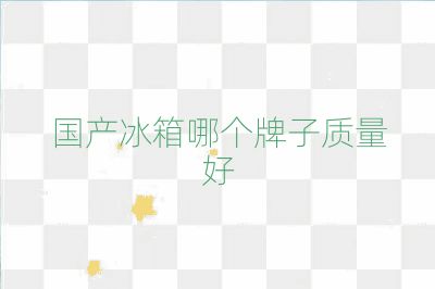 国产冰箱哪个牌子质量好