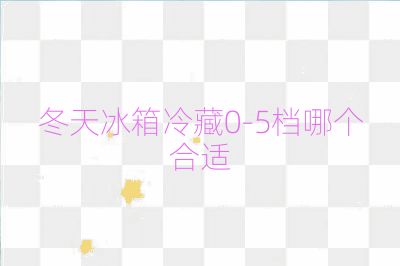 冬天冰箱冷藏0-5档哪个合适