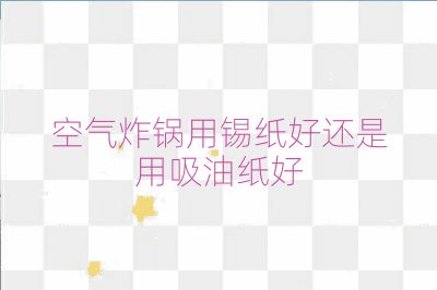 空气炸锅用锡纸好还是用吸油纸好