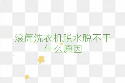 滚筒洗衣机脱水脱不干什么原因