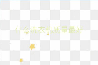 什么洗衣机质量最好