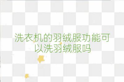 洗衣机的羽绒服功能可以洗羽绒服吗