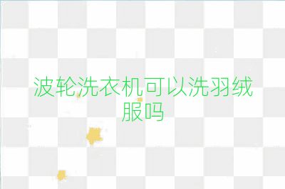 波轮洗衣机可以洗羽绒服吗