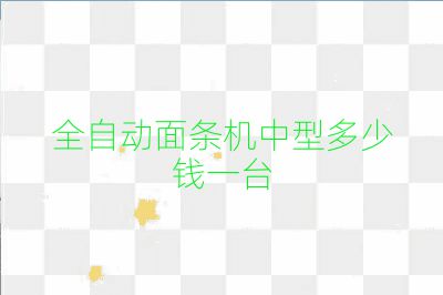 全自动面条机中型多少钱一台