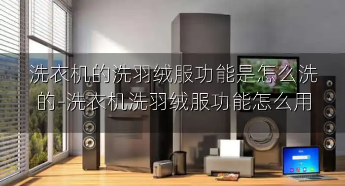 洗衣机的洗羽绒服功能是怎么洗的-洗衣机洗羽绒服功能怎么用