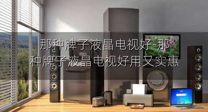 那种牌子液晶电视好-那种牌子液晶电视好用又实惠