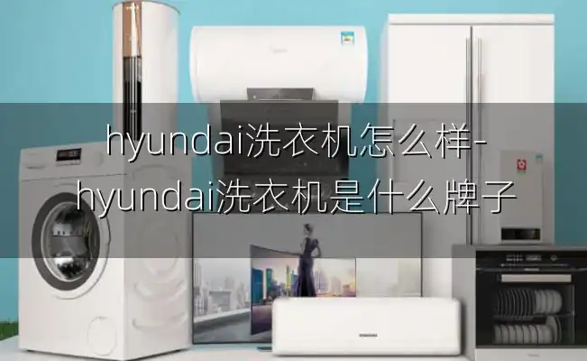 hyundai洗衣机怎么样-hyundai洗衣机是什么牌子